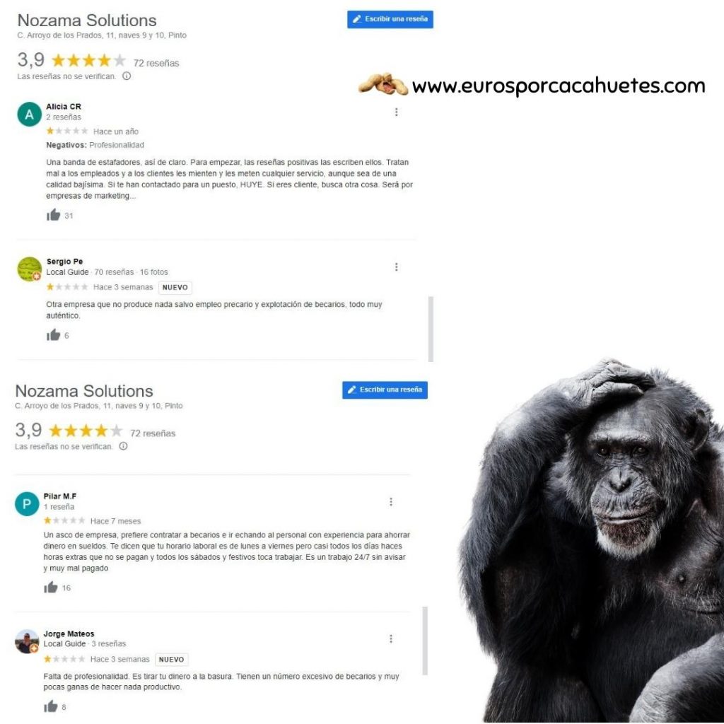 Google Reviews Nozama Solutions - Euros por cacahuetes