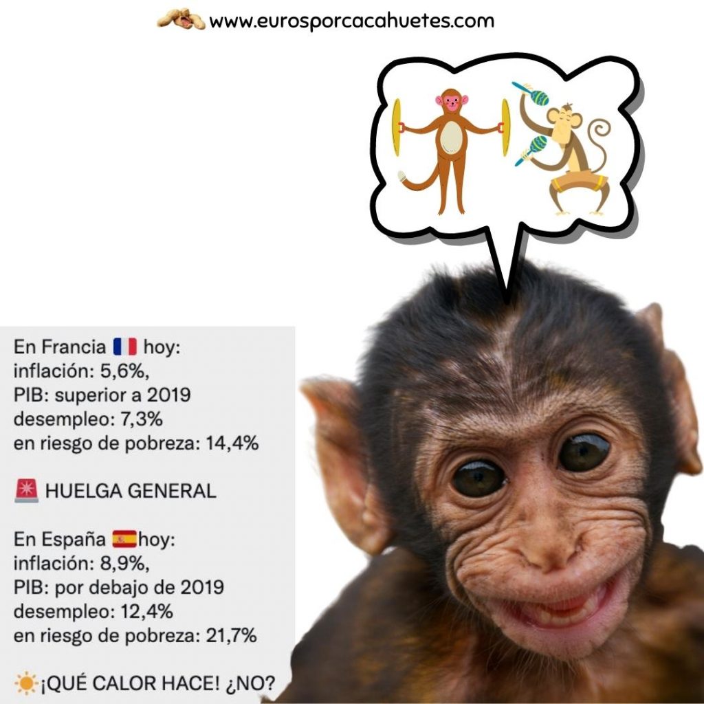 Mono pensando en España - Euros por cacahuetes