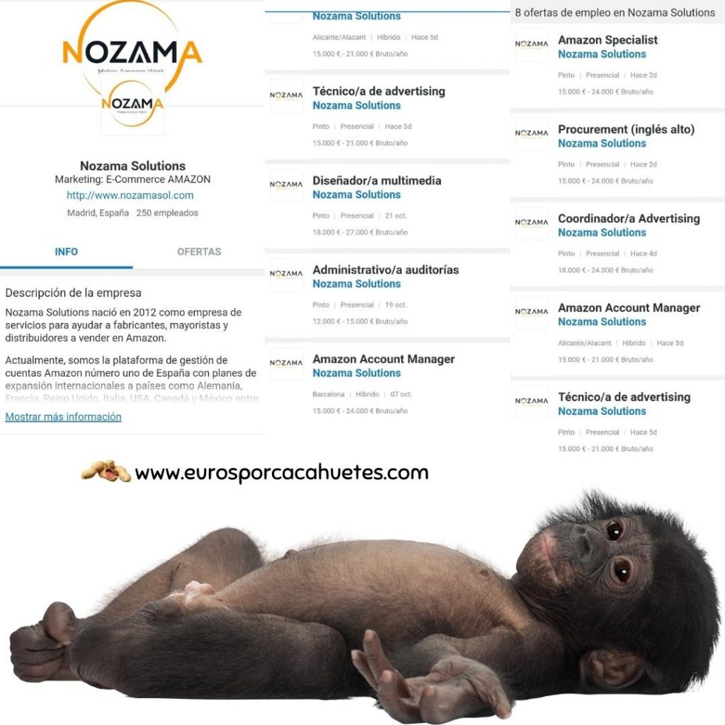 ofertas trabajo Amazon Nozama Solutions - Euros por cacahuetes
