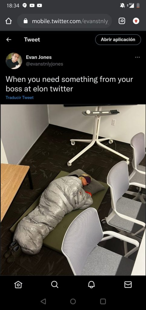Elon Musk mujer durmiendo en Twitter - Euros por cacahuetes