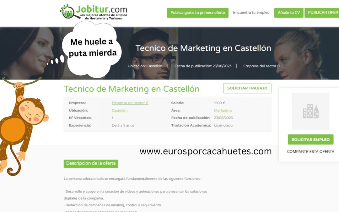 Oferta Laboral de Técnico de Marketing en Castellón