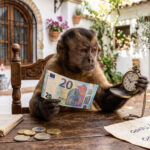 Mono con billetes del premio de la Lotería de Navidad